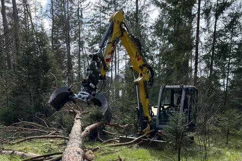 Gelber Bagger mit Drehgreifer an einem gefällten Baum im Wald. Eigenes Foto von Michael Tilke.