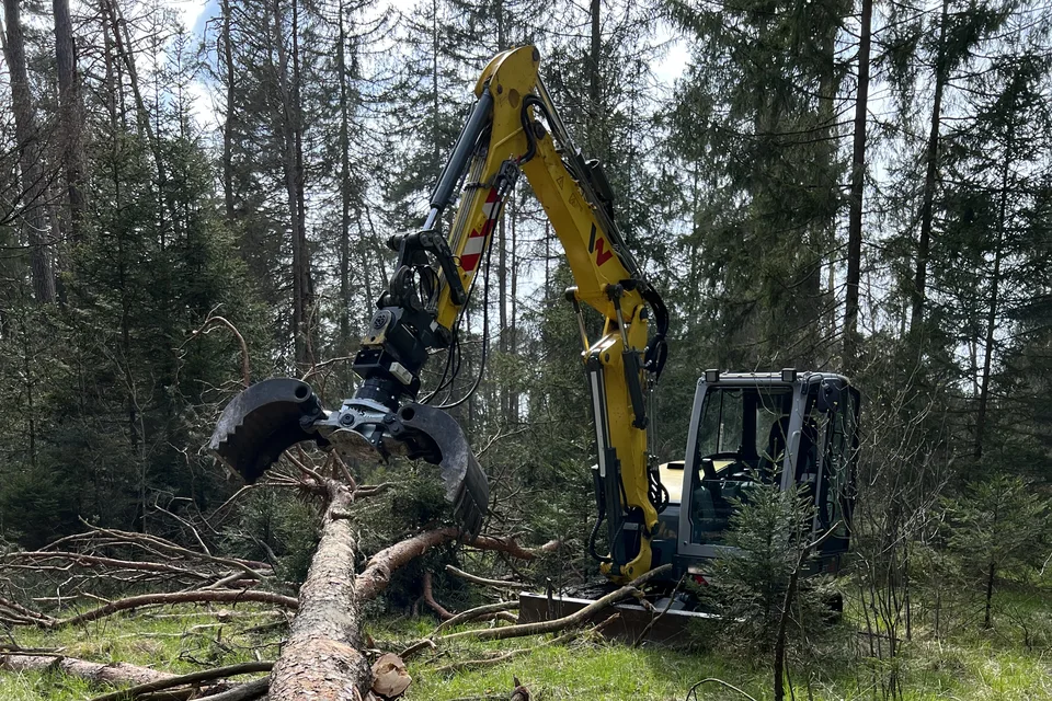 Gelber Bagger mit Drehgreifer an einem gefällten Baum im Wald. Eigenes Foto von Michael Tilke.