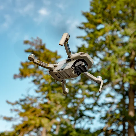 Eine DJI Mini 2 fliegt vor grünen Bäumen.