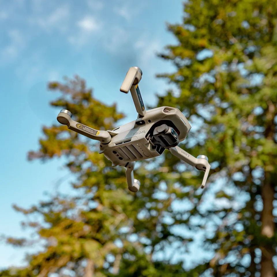 Eine DJI Mini 2 fliegt vor grünen Bäumen.