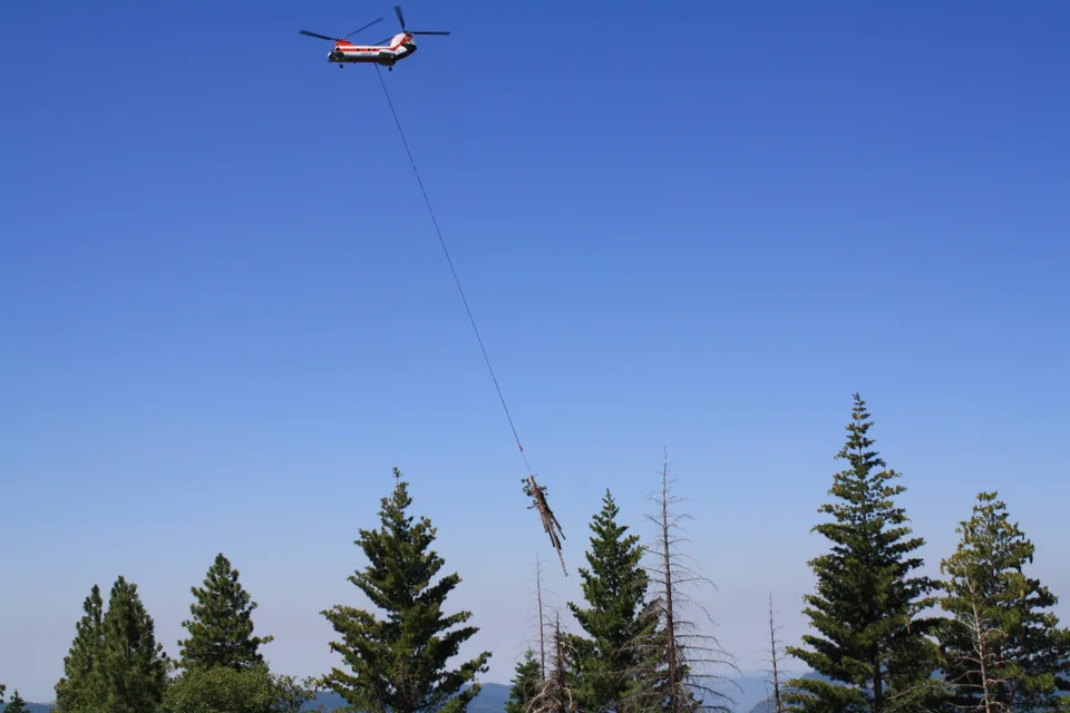 Helikopter beim Holztransport im Stanislaus National Forest.