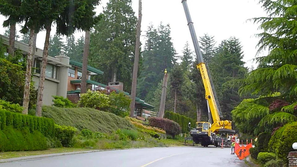 Krangestützte Baumabtragung in West Vancouver.